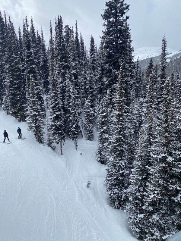 Sunshine Village, Canada. Image © PlanetSKI
